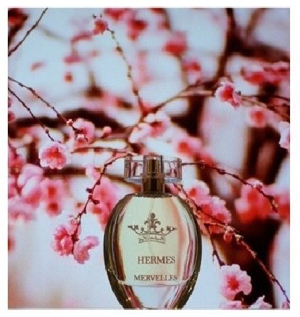 عطر فصل بهار