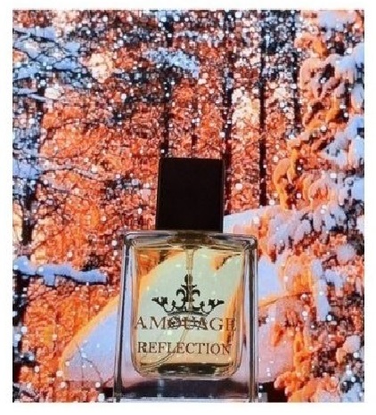 عطر فصل زمستان